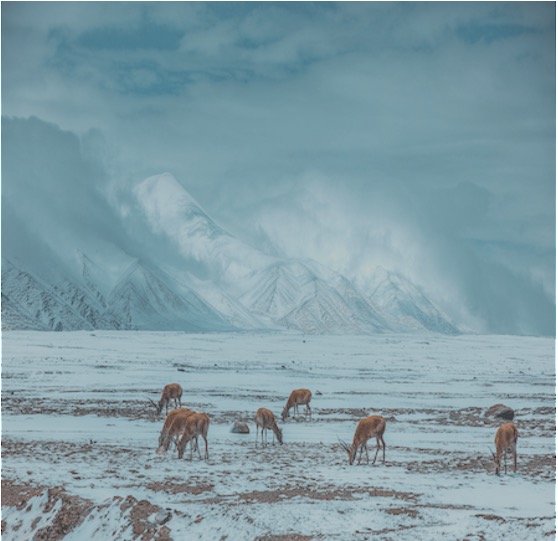 腾博官网-诚信为本,专业服务!